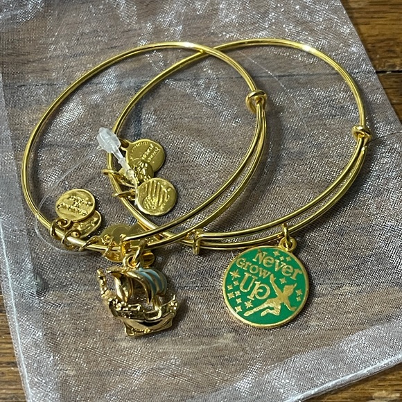 NWOT Alex and Ani Peter Pan Jolly Roger Never Grow Up Bangle Bracelets - Picture 1 of 1